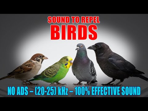 🔊 SOUND TO REPEL BIRDS 🚫🐦 | 100% EFFECTIVE ULTRASONIC REPELLENT