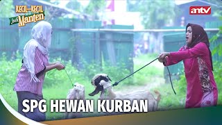 Download lagu SPG Kurban Datang, Otak Langsung Error | Kecil-Kecil Mikir Jadi Manten Eps 76 Full mp3 Download lagu SPG Kurban Datang, Otak Langsung Error | Kecil-Kecil Mikir Jadi Manten Eps 76 Full mp3