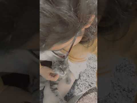 Do you want to see my kidy!