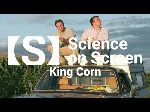 The World According to Corn