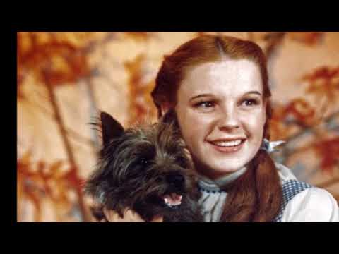 Luíza Possi - Além do Arco-Íris