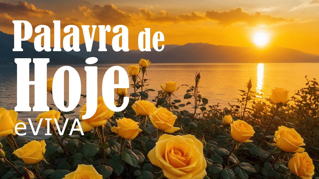 PALAVRA DO DIA 20 DE AGOSTO DE 2024 | DEVOCIONAL DIÁRIO | MOTIVACIONAL E REFLEXÃO DE VIDA eVIVA