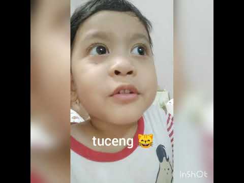 Budak cakap pelat. Reaksi tengok Boboiboy