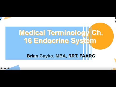 Ch  16 Endocrine