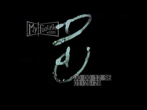 Film Leader 12 in Color with Countdown with Woman Editors Hideaway