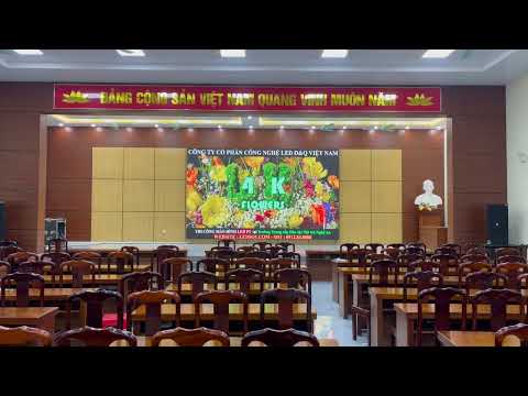 Video dự án