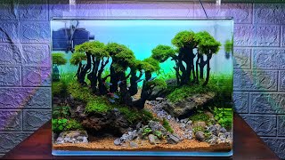 #337 Aquascape simpel,tema pohon pohonan