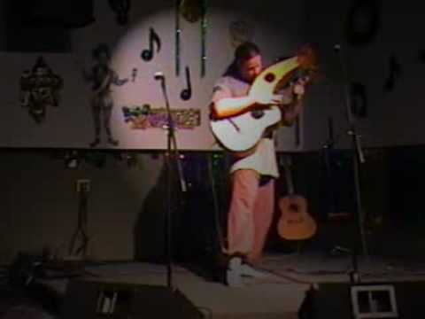 Michael Hedges Harp Guitar Covers