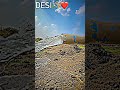New Farming Status Video Shorts Farming Viral