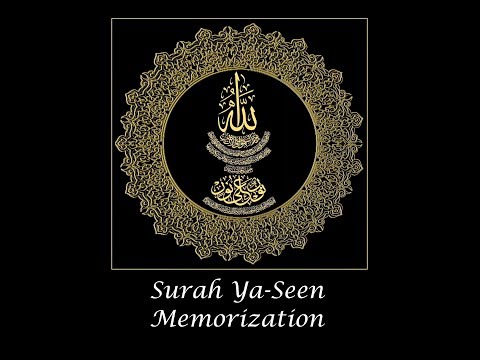 Surah Ya-Seen Memorization (part 7) verses 31-35