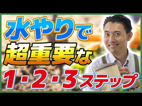 園芸 上手に水をやる10のヒント