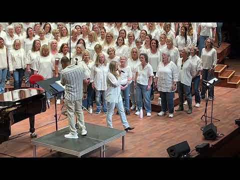 Team Putte Berwaldhallen VT 2024 - Allt det vackra