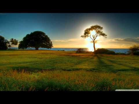 Daniel Meyer - Next Move (Jesper Olesen Remix)