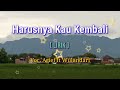 Harusnya Kau Kembali Lirik Arief Ft Wulandari Pratista Music