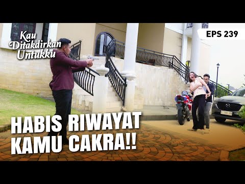 [EPISODE TERAKHIR] Michel Tertembak Karena Menolong Cakra | KAU DITAKDIRKAN UNTUKKU | EPS.239 (4/4)