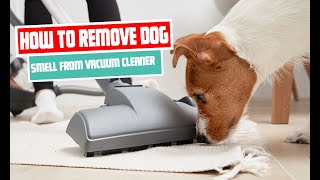 how to remove dog smell from vacuum cleaner