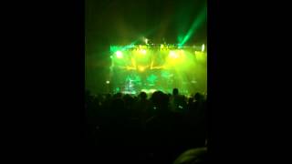 widespread Panic Up All Night