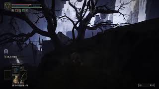 【ELDEN RING】初見エルデン、進めてく！【エルデン リング】#21