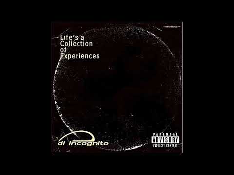 DL Incognito  - Life's a Collection of Experiences