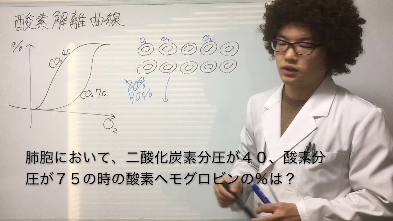 【生物基礎】酸素解離曲線