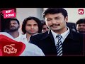 Darshan challenges his enemies | Kannada | Datta | Darshan | Ramya | Sun NXT