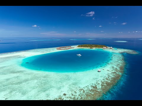 Baros Maldives - Celebrating 50 Years of Authentic Maldivian Hospitality