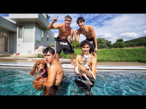DOG VS GOAT SWIMMING COMPETITION!