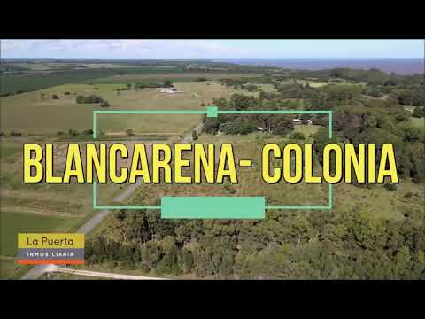 Vendemos Chacra de 1 HÁ en Blancarena-Colonia-Uruguay