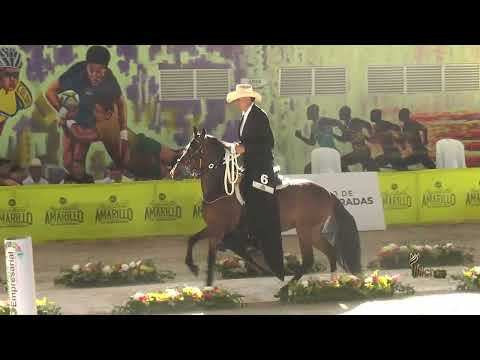 CAMPEONATO JOVEN HEMBRAS TROCHA Y GALOPE FESTIVAL EQUINO DOSQUEBRADAS RISARALDA 2025