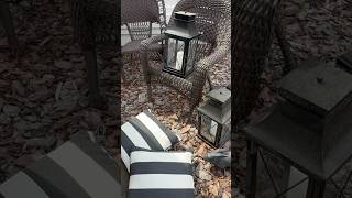 FRONT PORCH GOODWILL BINS DECOR! #diy #goodwillbins #goodwilloutlet #frontporchdecor