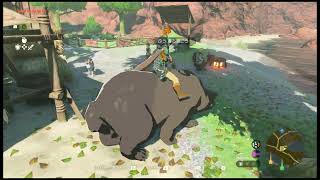 The Legend of Zelda: Tears of the Kingdom 【today's stroll】day4②：ゼルダの伝説　ティアーズオブザキングダム【今日の散歩】4日目②