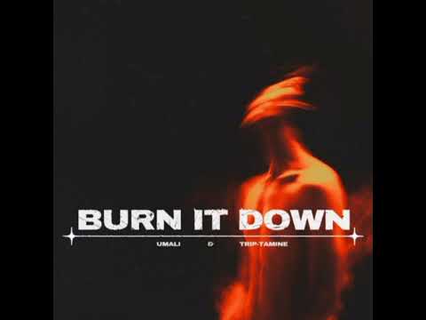 Trip Tamine & Umali - Burn it Down (Original Mix) [Psyfeature]