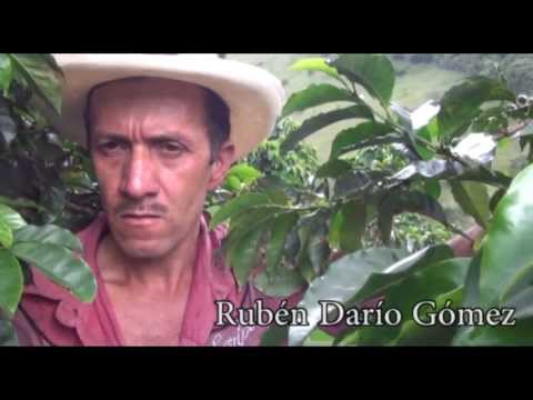 Rubén Darío Gómez 2do lugar concurso de café taza aroma y sabor de mi tierra 2013