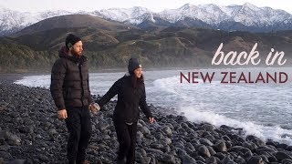 BACK IN NZ! + UPDATES // New Zealand