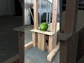 Guillotine vs watermelon 🍉