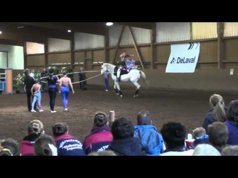 2011-10-23_Fehrbellin_Juniorteam_VRG-Schäferhof