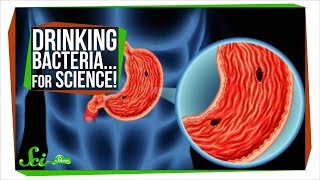 The Man Who Tried to Give Himself An Ulcer... For Science