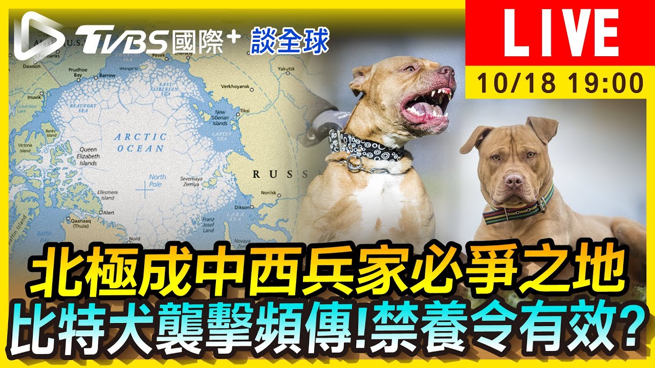 《TVBS國際+談全球》北極成中西兵家必爭之地 比特犬全面禁養後反掀棄養潮?