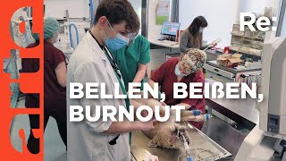 Tierärzte unter Druck | ARTE Re: