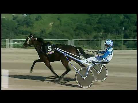 Napoli Trotto 15/10/2021 - 2ª corsa