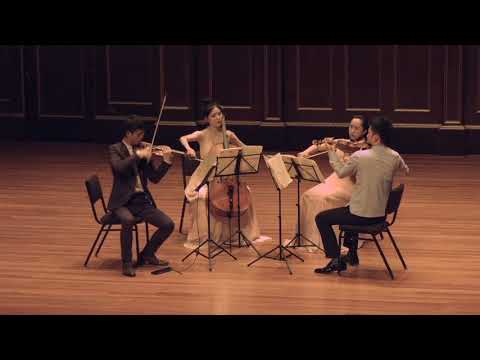 Promotional video thumbnail 2 for Julia Lin, Violin/Viola/Piano
