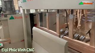 Máy chép hình CNC Woodmaster 4 trục | 2 trục đáng Tubi 2 trục chà nhám