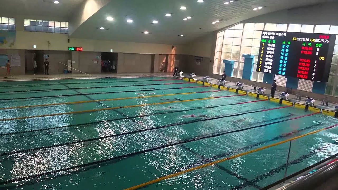 제96회 전국 체육대회 핀수영 경기 영상