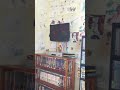 Closing To Oh Brother She S My Sister 1998 VHS My YouTube Copy