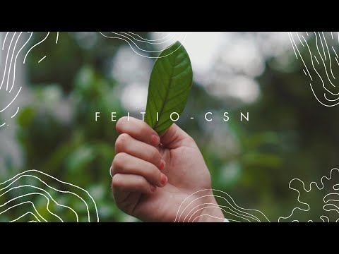 SANTO DAIME - FEITIO