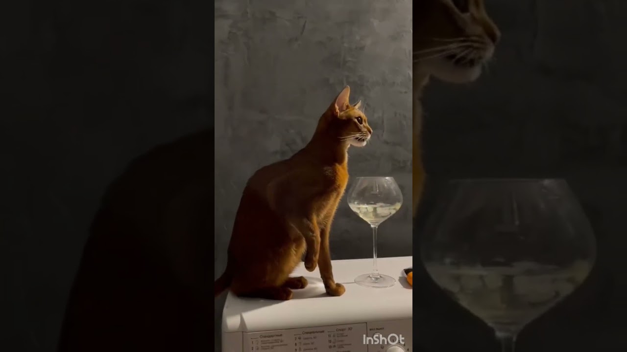 3 февраля 2023 г.