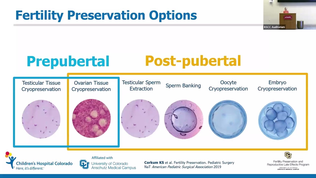 11.4.2024 Surgery Grand Rounds – Kristine Corkum, MD and Daniel VanDerPloeg, MD