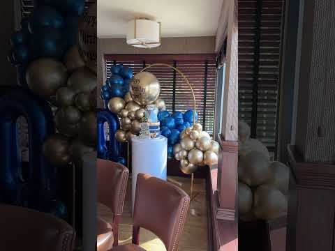 Promotional video thumbnail 1 for Leo And Mom Balloons