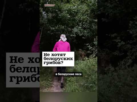 Украинцы не хотят беларуских грибов? #shorts