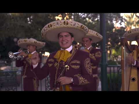 El Son del Perro - Mariachi Los Camperos